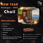 New Year Packages Near Delhi | India New Year Packages 2023