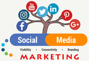 Best Social Media Marketing Agency in Delhi