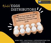 Eggs Distributors | Duck Eggs Wholesale Dealers