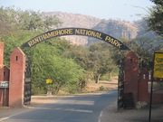 Best time to visit Ranthambore National Park and safari timetable