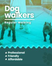 Dog walking services Delhi