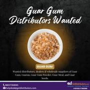 Guar Gum Distributors Wanted | Guar Gum Wholesale Dealers