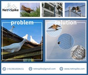 Bird Net Installation Service