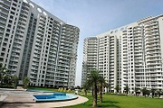 DLF Icon for Rent in Gurgaon
