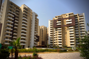 3 BHK Apartments on Sale in Gurugram | TDI Ourania on Sale in Gurugram