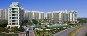 5 BHK Luxury Apartments in DLF The Crest