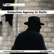Spy Detective Agency’s Approach to limit serves as the best Detective 