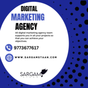 SargamStaan | Best Digital Marketing Company in Delhi |
