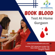 Book Blood Test At Home Gurgaon | Shiv International