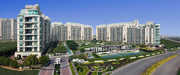 Apartment in Gurgaon for Rent | DLF Crest in Gurgaon