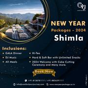 New Year Packages 2024 | New Year Party Packages in Shimla