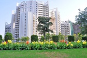 4 BHK Apartments in Gurugram | Parsvnath Exotica for Rent in Gurugram