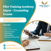 Pilot Career Counseling Course In the Aviation Sector 