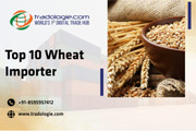 Top 10 Wheat Importer