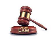 Labour law consultant