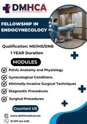 Fellowship in Endogynecology 