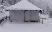 Jayshee Camp in Kanatal | Kanatal Camp