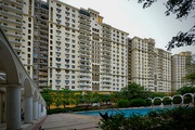 Rent DLF Beverly Park Apartment in Gurgaon