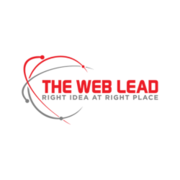 The Web Lead - best seo agency in india