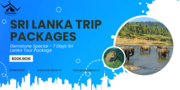 Gems of Sri Lanka: 7-Day Tour Package