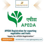 APEDA Registration for exporting vegetables and fruits