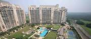 DLF The Aralias Apartment for Rent in Gurgaon