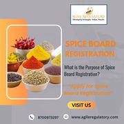 What is the Purpose of Spice Board Registration?