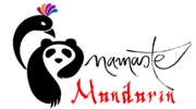 Best Online Mandarin Classes