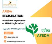 What is the Importance of APEDA Registration?