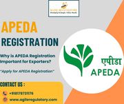 Why is APEDA Registration Important for Exporters?