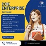 The Best Resources for CCIE Enterprise Revision 