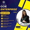 CCIE Enterprise: What to Study for Your Exam Success