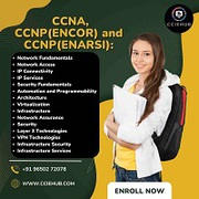 CCNA CCNP combo Enterprise core 