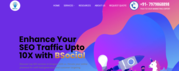 Best SEO Agency in Gurgaon The B Social - Maximize Your Online Potenti