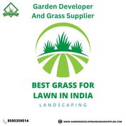 Best Grass for Lawn in India | Top Lawn Grass Options for Beautiful Ga