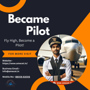 How to Become a Plane Pilot Successfully