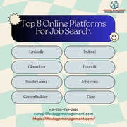 career counsellor in delhi ncr