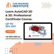 Learn AutoCAD 2D & 3D. Professional Certificate Course.