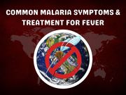 Common Malaria Symptoms & Treatment for Fever