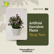 Buy Beautiful Artificial Succulents Plants for Home & Office Decor