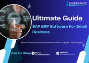 Choose the right SAP erp software for your small business
