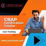 CBAP Certification Training for Experienced Business Analysts
