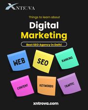 Where Can I Find the Best SEO Agency in Delhi?