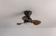 Elegant Quality Ceiling Fan by Wadbros