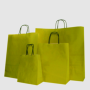 Premium Custom Paper Carry Bags – Eco-Friendly & Brand-Ready