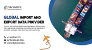 How Export Data Helps Identify Genuine Global Buyers