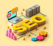 SEO Services Delhi